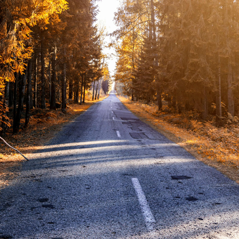CN TRANSPORT 780_780 begeleiding tarieven